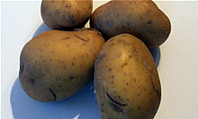 zemiaky